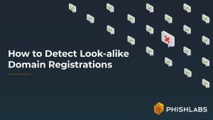 How to Detect Look-alike Domain Registrations