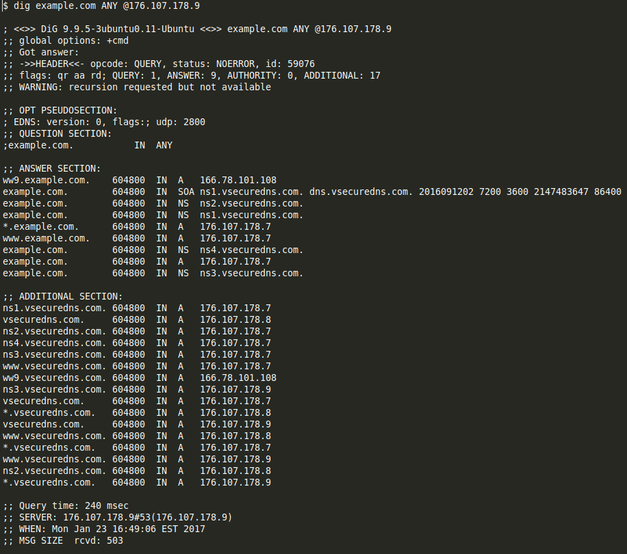 Examples of look-alike domains mimicking hosting providers and DNS services4.png